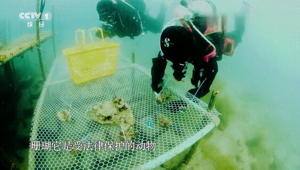 11.gif