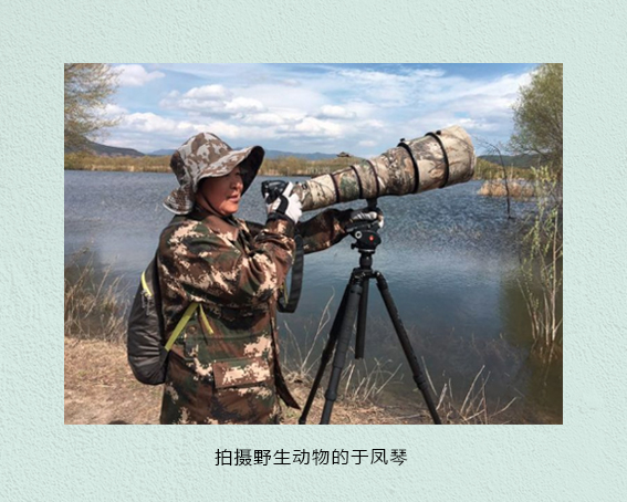 黑颈鹤1.jpg